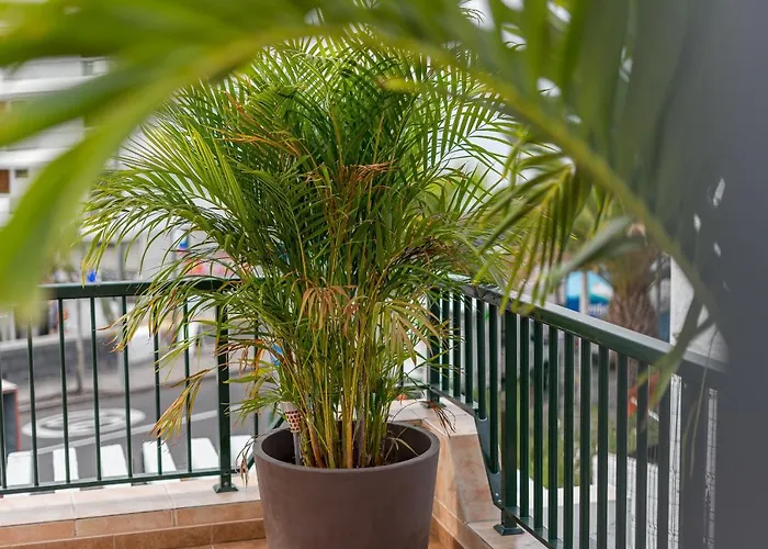 Bungamericas - Sea View Playa De Americas Appartamento *